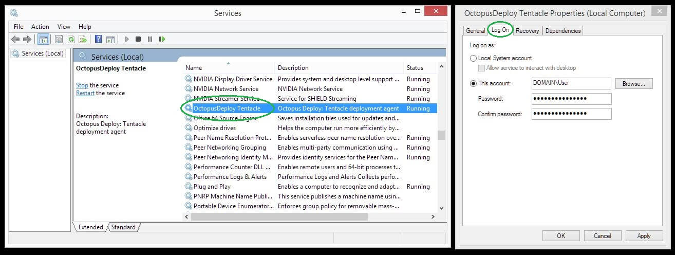 The Log On tab of the OctopusDeploy Tentacle service properties